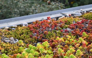 the cost of Culbokie green roof installation