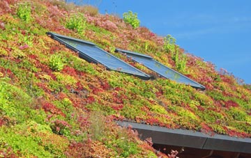 Culbokie living roof systems