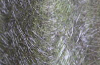 Culbokie fibreglass roof work